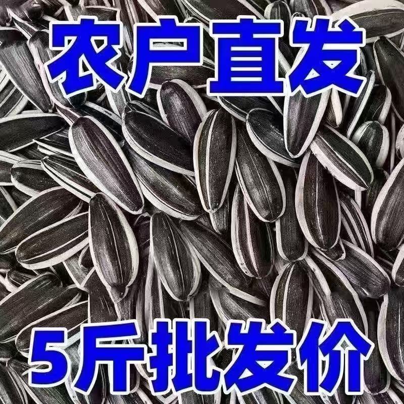 【批发价】生瓜子新货葵花籽特价新鲜散装批发零食新鲜生葵瓜子年