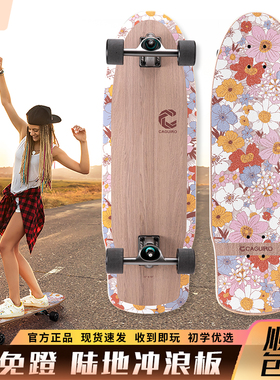 IROCKER陆地冲浪滑板路冲板SURF SKATES陆冲板长板刷街成人系列