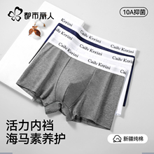 都市丽人男士内裤男生男款2025新款纯棉透气四角短裤衩男平角大码
