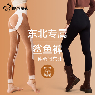 瑜伽保暖裤 都市丽人高腰打底鲨鱼裤 女秋冬加厚加绒德外穿2025新款
