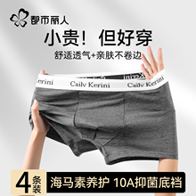 都市丽人男士内裤男生男款2025新款纯棉透气四角短裤衩男平角大码