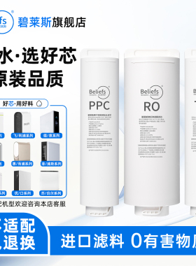 碧莱斯适配德/意净水器滤芯机RO400-JX6615反渗透RO膜PPC复合滤芯
