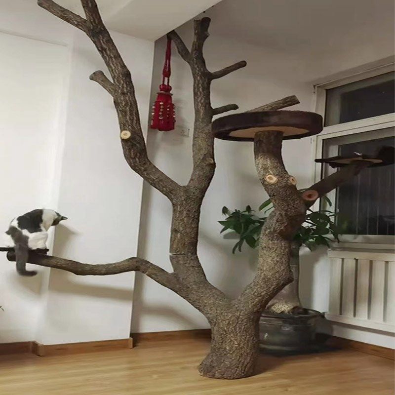 枯木树干装饰带皮树干树杈v猫爬架猫树一体式猫爬树树枝造景摆件