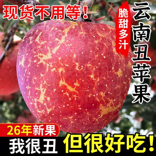 正宗云南丑苹果新鲜应季冰糖心丑苹果昭通盐源富士丑苹果高山平果