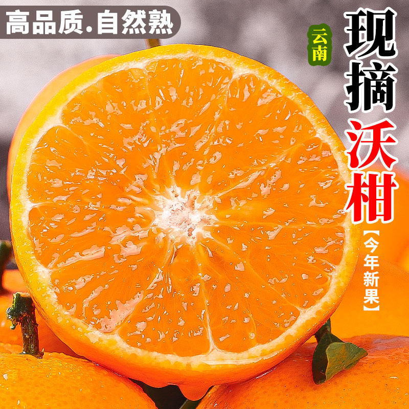 正宗精选沃柑新鲜橘子云南当季现摘水果一级纯甜酸砂糖柑橘桔整箱
