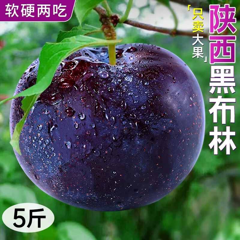 陕西黑布林黑李子新鲜孕妇酸甜脆李应季大黑宝石水果黑布林李顺丰