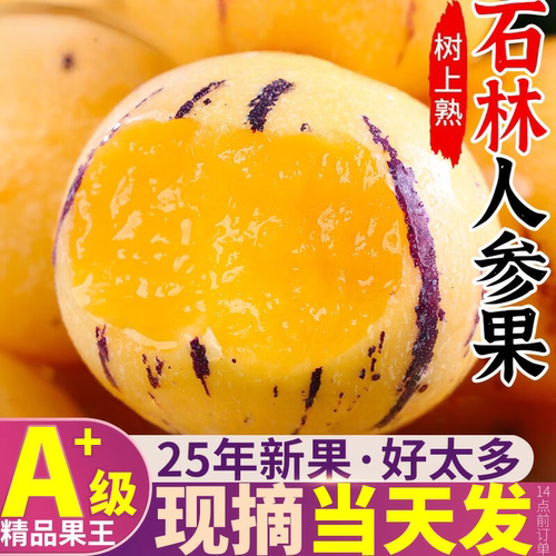 云南石林人参果5斤七彩黄肉娃娃圆果清甜当季火焰山人生果黄心果