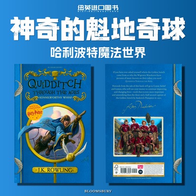 神奇的魁地奇球哈利波特外传