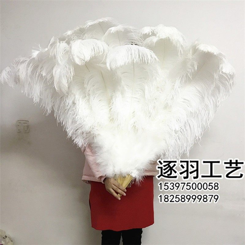 定制酒吧夜店俱乐部舞台舞蹈表演演唱会走秀特大号鸵鸟羽毛扇包邮,家居饰品,工艺扇/团扇/喜扇/折扇,淘宝优惠券,粉丝福利购,淘宝优惠卷