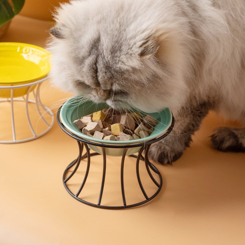 陶瓷猫碗防打翻饮水碗宠物餐盘防黑下巴猫粮碗护颈釉下彩