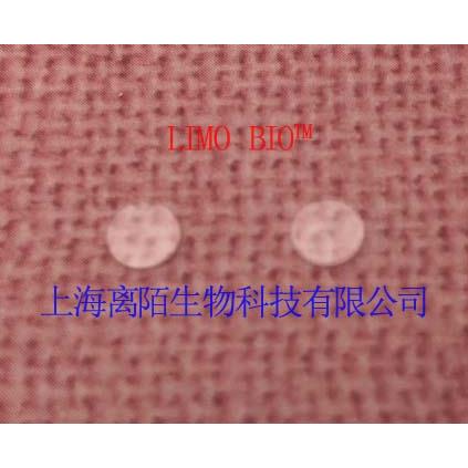 比热片/蓝宝石比热片/比热测试/DSC坩埚/铝坩埚