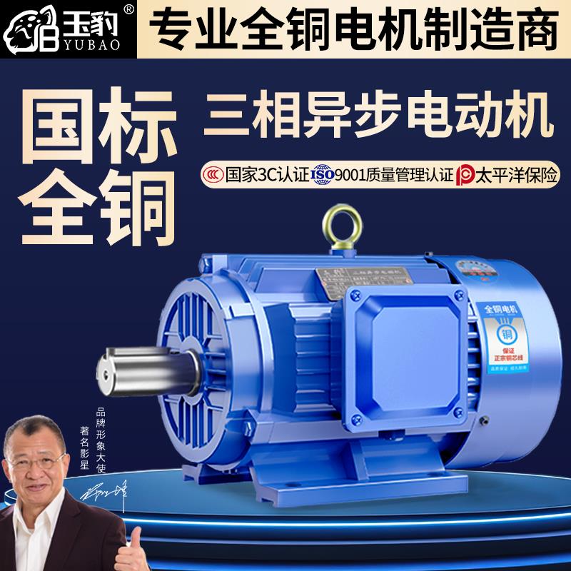 全铜三相异步马达11/15/18.5/22/30/37/45千瓦55KW国标380V电机