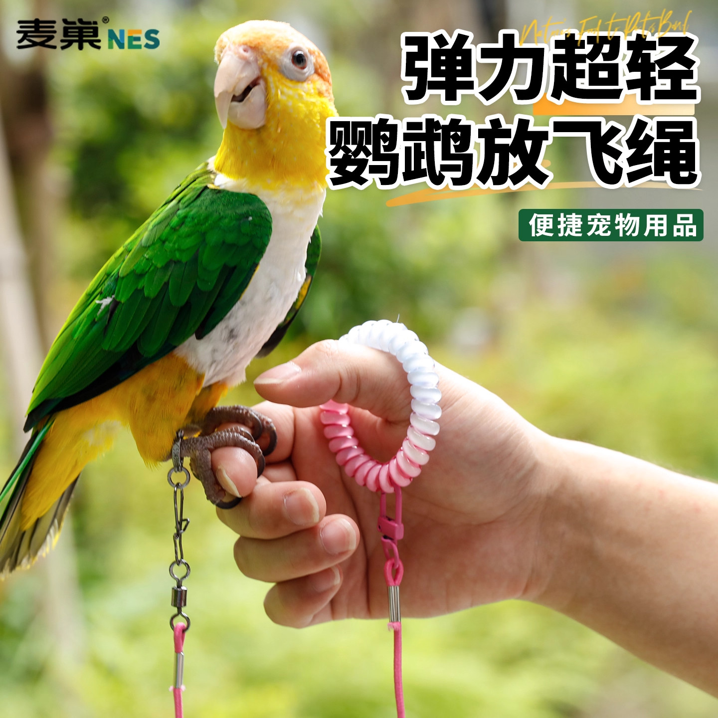 鹦鹉牵引绳遛鸟神器外出放飞训练超轻不伤脚玄凤牡丹专用脚环脚链