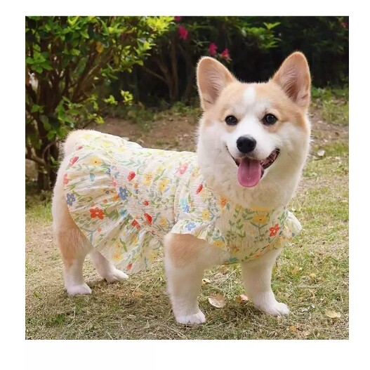 柯基柴犬比熊狗狗衣服2026春夏天薄款公主裙子背心马甲防掉毛防晒