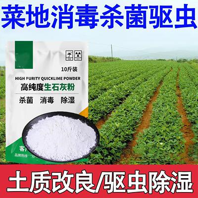 生石灰粉杀虫种菜10斤消