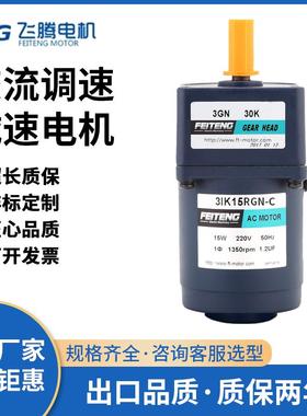 FEITENG飞腾微型交流调速减速电机齿轮6W-300W减速感应定速马达