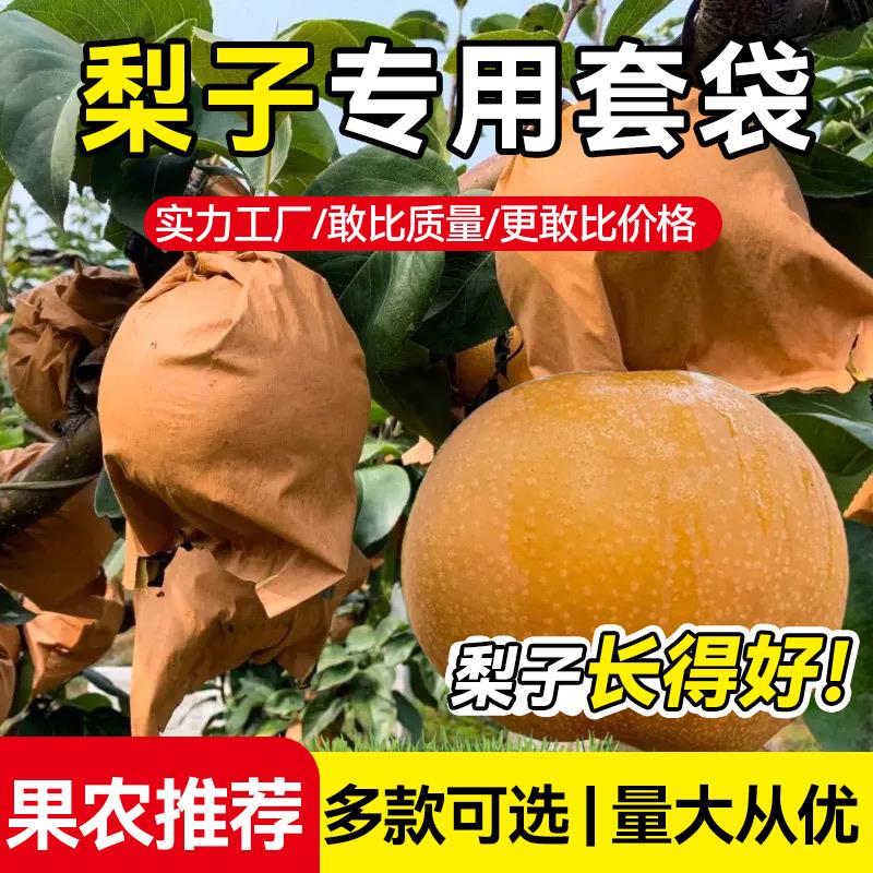 梨子专用套袋小梨袋晚秋黄梨用纸袋大梨雪梨黄金梨防水鸟防水果袋