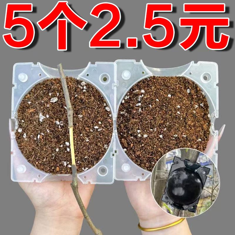 植物高压繁殖盒球塑料花盆园艺果树培养器扦插育苗嫁接生根器枝条