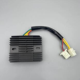适用大地鹰王400整流器DD250E CA250稳压器 整流器 充电器 DD350E