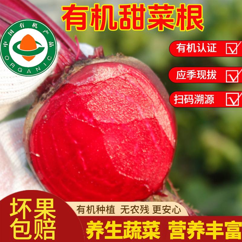 有机甜菜根现拔新鲜农产品