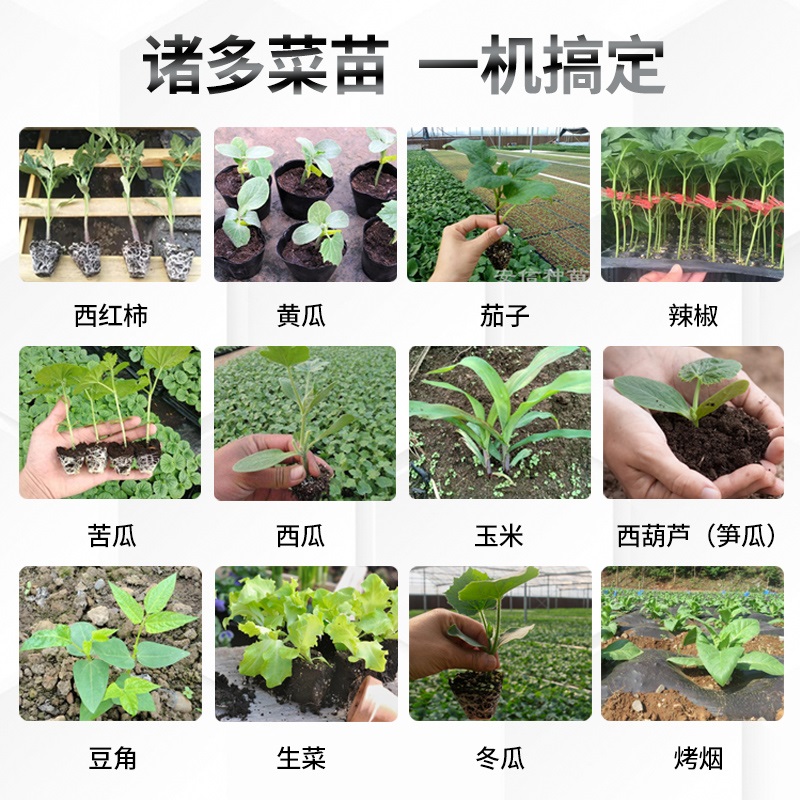 栽苗移苗神器农用栽苗器全自动栽辣椒苗机种菜机移栽器种植机播种