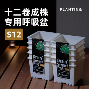 花盆十二卷玉露专用呼吸盆S12龙舌兰盆块根花盆潮流植物专用盆