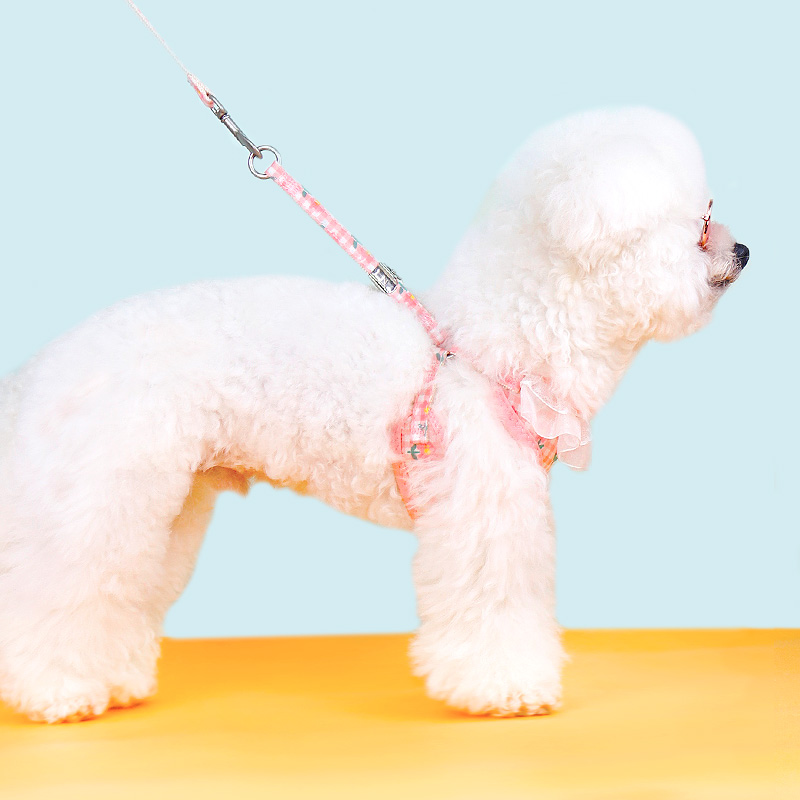 夏款狗狗牵引绳公主猫绳子小型犬宠物胸背带背心式泰迪狗链子狗绳
