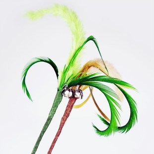 田田猫狗尾巴草狗尾草毛毛虫羽毛长杆逗猫棒带铃铛耐咬神器猫玩具