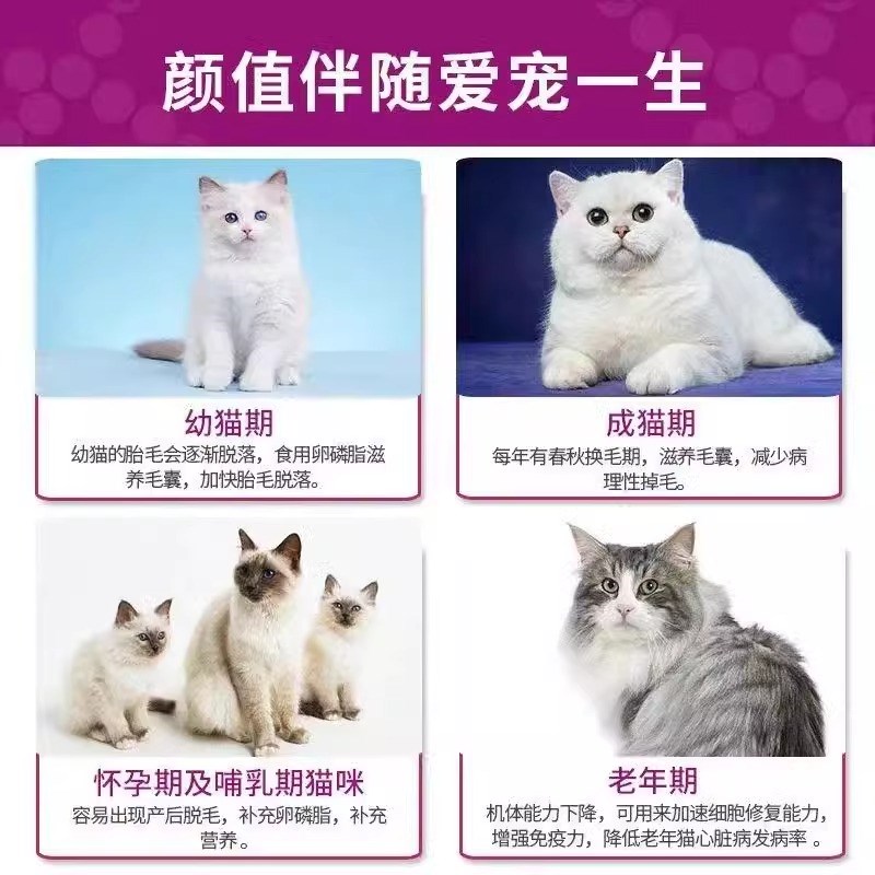 试吃鲜肉猫粮10斤实惠大包装农村土猫咪幼猫成猫通用流浪猫救助粮