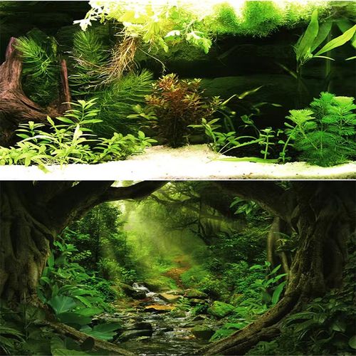 鱼缸背景贴纸壁纸高清3d立体鱼缸背景纸水族箱造景外贴雨林装饰画