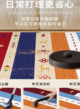 226彩色多巴胺客厅擦地毯免洗可沙发茶几垫摩哥风格莫0斯洛绒7.21