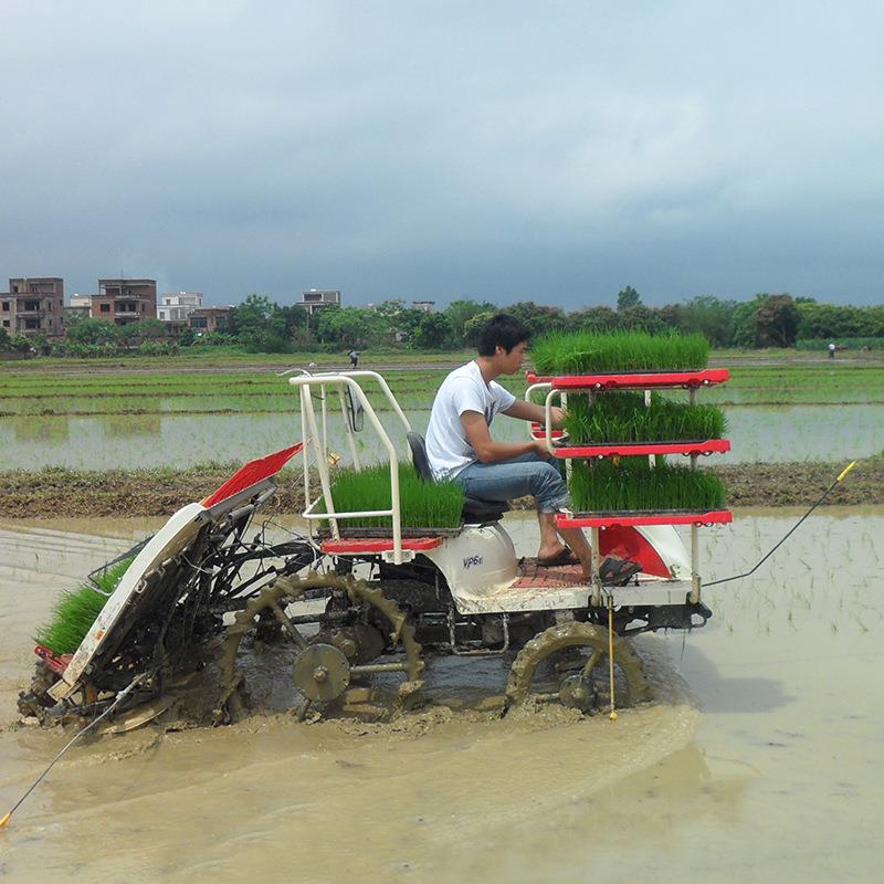 4行机6手扶PPI稻插秧机全自动电启行动栽苗育苗水上漂插秧水机