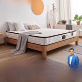 帕沙曼天然环保椰子棕榈床垫硬棕榈床垫西蒙斯脊柱保护软硬两用床