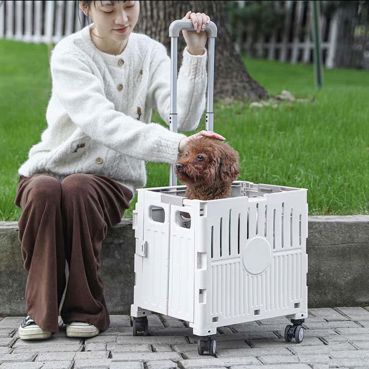 宠物推车中小型基便可折叠泰迪柯猫咪F998S56遛狗犬外出轻便手轻