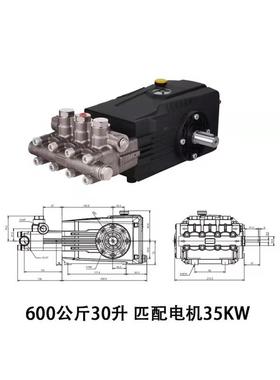 洛克0里尼高压水泵DSPE1810100公18斤升清洗机总成高压产泵国头22