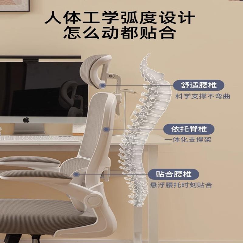 人体工学椅办公护腰椅子电书竞椅学生学桌习椅久坐适家用电脑XFT