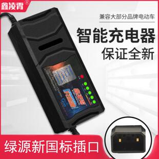 自动关机智能电动车电瓶充电器48V12AH60V20AH72V30A通用绿源两孔
