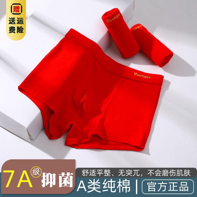 马年男童平角内裤本命年中大童