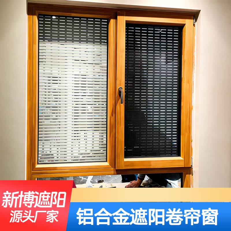 欧式卷帘窗智能防盗设备门百叶阳光房顶防晒遮光帘隔热防窥卷帘门