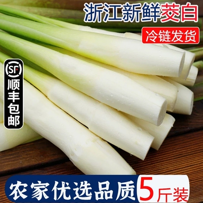 【顺丰】新鲜农家茭白茭笋产妇月子下奶蔬菜食材鲜嫩爽口无添加