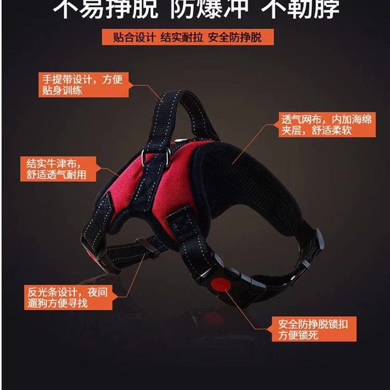 热销狗狗牵引绳中小型犬刻字狗牌狗背心式柯基泰迪胸背带狗链法斗