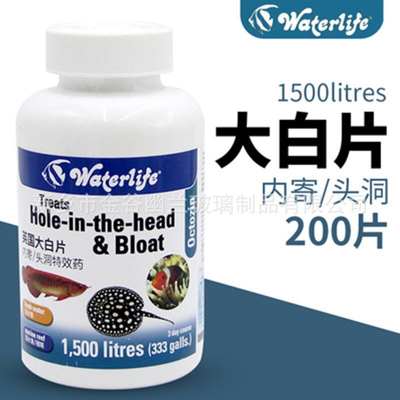 热销英国大白片内寄外寄鱼用龙鱼罗汉观赏头洞水族