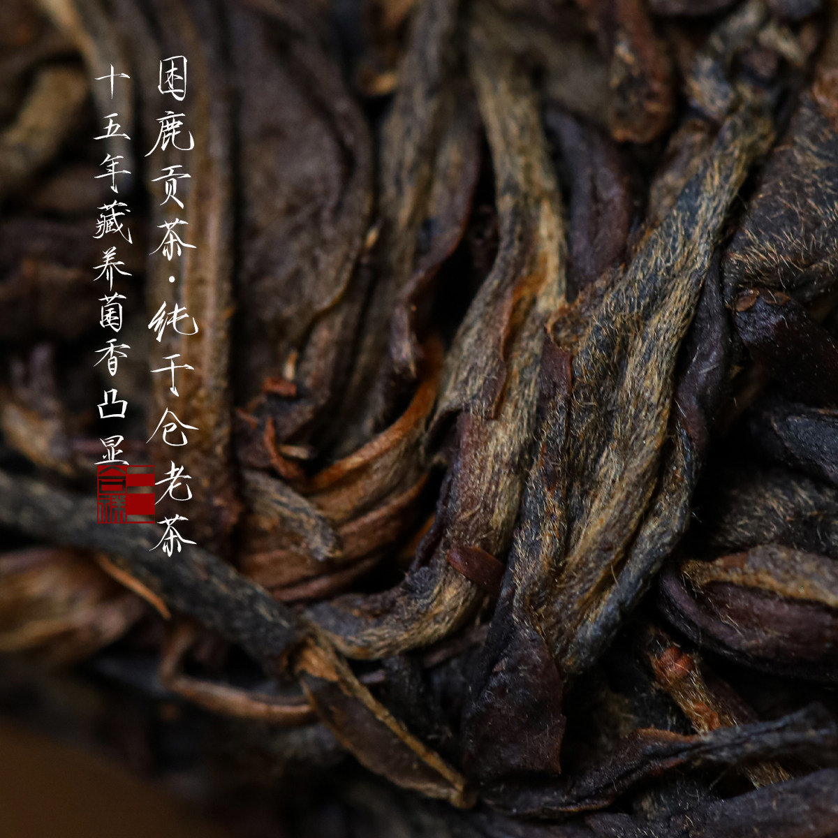 2010年困鹿山贡茶园古树纯料春茶 普洱纯干仓存放 中期老生茶