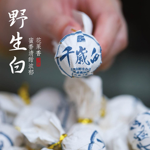 千岁白 云南千岁野生白茶 山野气韵浓强 花果香 15粒（105克）