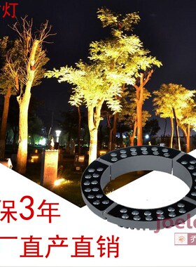 led抱树灯48W照树灯s抱柱灯户外防水抱箍射树灯围树灯景观投射灯
