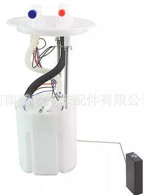 燃油泵总成AB39-9H307-AD GR239H307LD适用福特燃油泵总成 泵芯