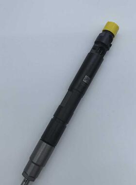 系列共轨喷油器 28270450 适用于 发动机