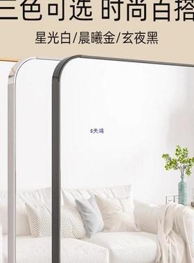 衣全身镜落10030916地镜家用镜子形挂墙女卧室可挂可立生不变真实