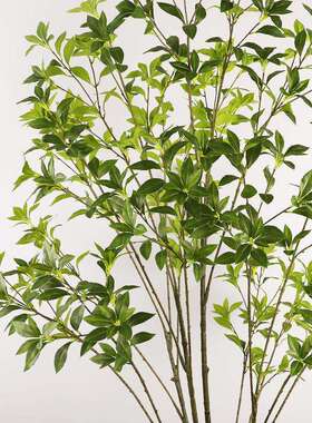 仿真仿绿植马家醉木室内居客厅轻54943奢绿植摆件落地装饰马木真