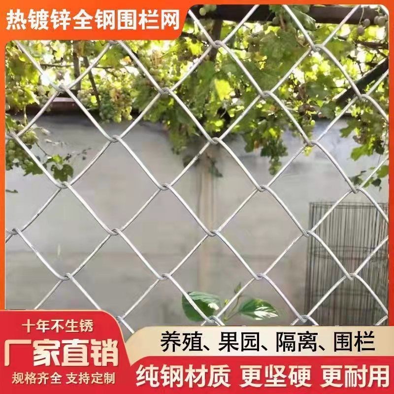 热镀锌钢丝网铁丝网果园勾花网养鸡网拦鸡网牛羊养殖围栏网栅栏网